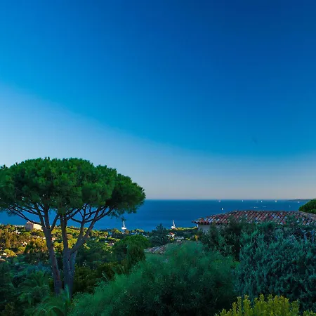 La Reve Du Sud