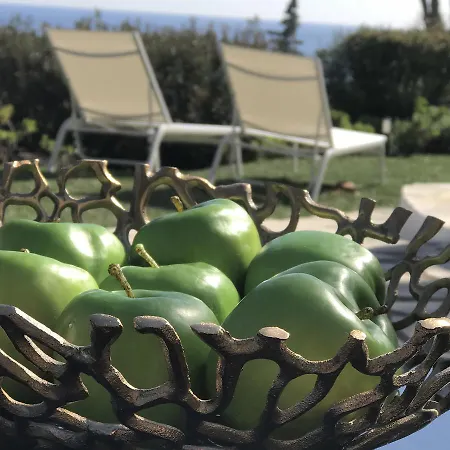 La Reve Du Sud Villa Les Issambres